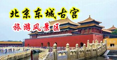 黄色视频美女的小穴中国北京-东城古宫旅游风景区